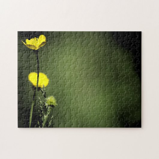 Gele Bloemen Puzzel (Horizontaal)