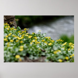 gele bloemen rivieroever poster