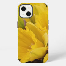Gele bloemen van narcissen