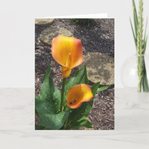 gele bloemenblanco kaart