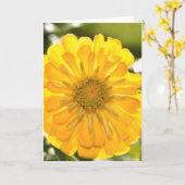 Gele bloemengele bloem gele madeliefje kaart (Gele Bloem)