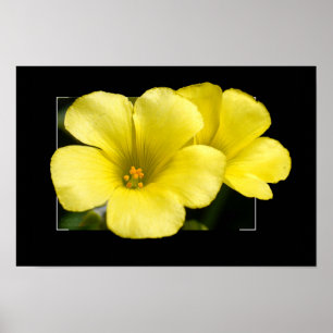 gele bloemenprint poster