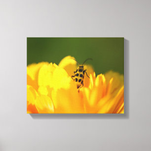 Gele bloemkorrels canvas afdruk