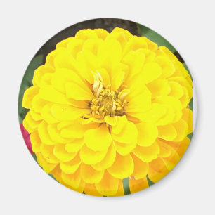 Gele Bloemmagneet Magneet