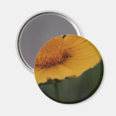 gele bloemmagneet magneet (Voorkant / Achterkant)