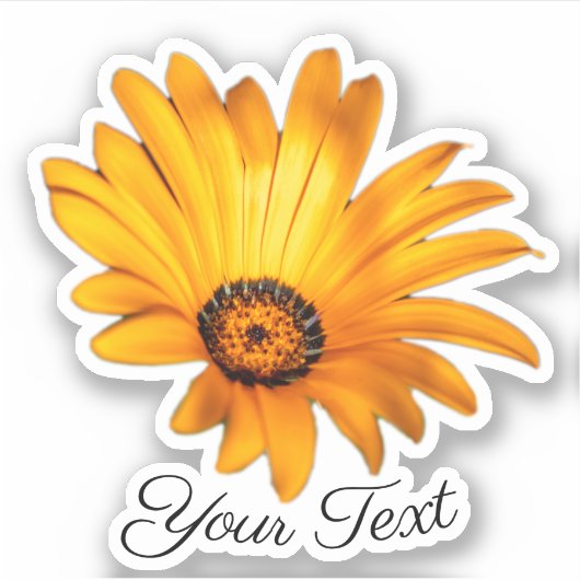 Gele bloempbladen van oranje bloesem in de lente sticker (Voorkant)