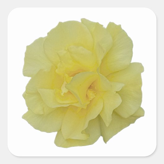 Gele Bloemstickers Vierkante Sticker (Voorkant)