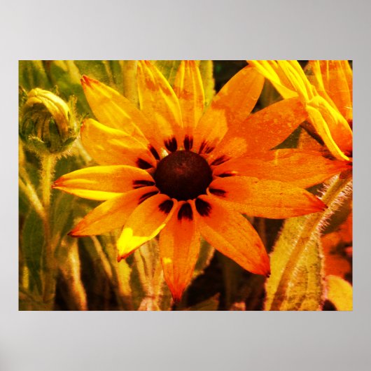 Gele Bloesem Foto Waarde Poster Papier (Voorkant)
