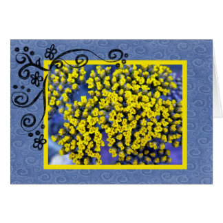 Gele bloesems