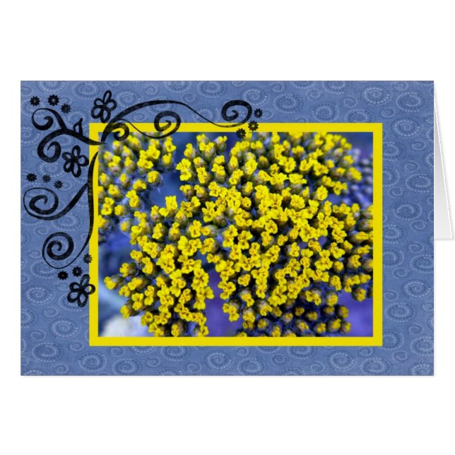 Gele bloesems (Voorkant Horizontaal)