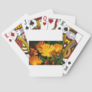 Gele Bloesems Bloemen Kunst Vrede Liefde Lotsbeste Pokerkaarten