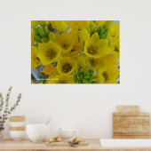 Gele bolbloemen poster (Keuken)