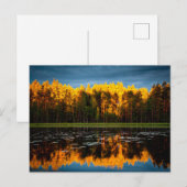 Gele bomen bij een meer briefkaart (Voorkant / Achterkant)