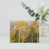 Gele bomen in New Hampshire Briefkaart (Staand voorkant)