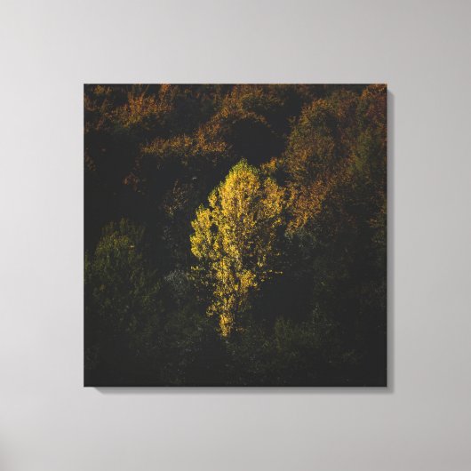 Gele boom die opvalt van de menigte canvas afdruk (Voorkant)
