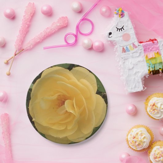 Gele borden van kamellietpapier papieren bordje (Feest)