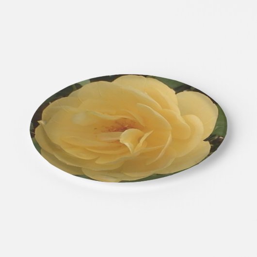 Gele borden van kamellietpapier papieren bordje (Gekanteld)