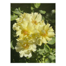 Gele botanische bloemen