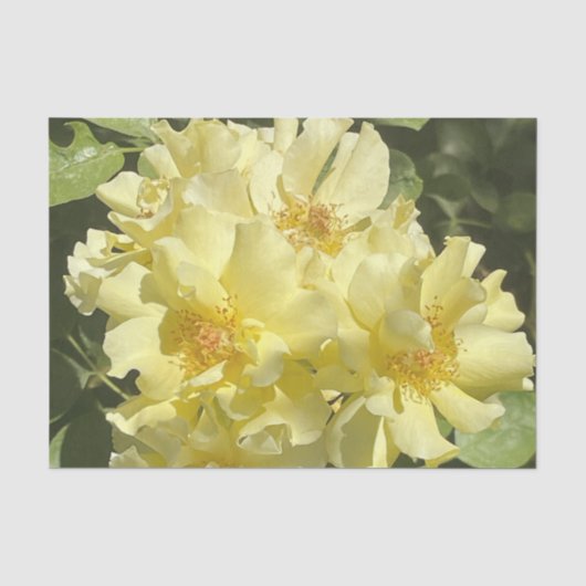 Gele botanische bloemen tissuepapier (Voorkant)