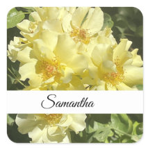 Gele botanische bloemen