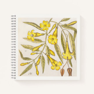 Gele botanische kunst notitieboek uit de 18e eeuw
