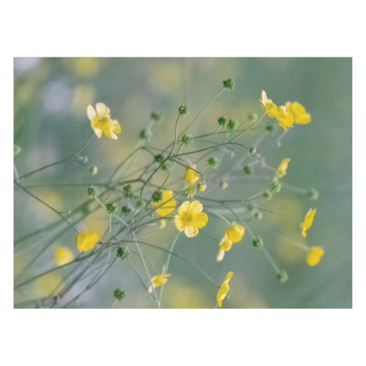 Gele boter tafelkleed (Voorkant (Horizontaal))