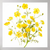 gele boterbloem bloemen waterverf poster (Voorkant)