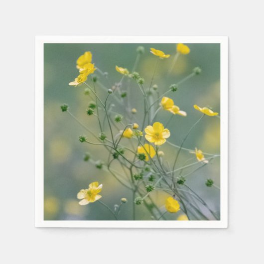 Gele boterbloem servetten (Voorkant)