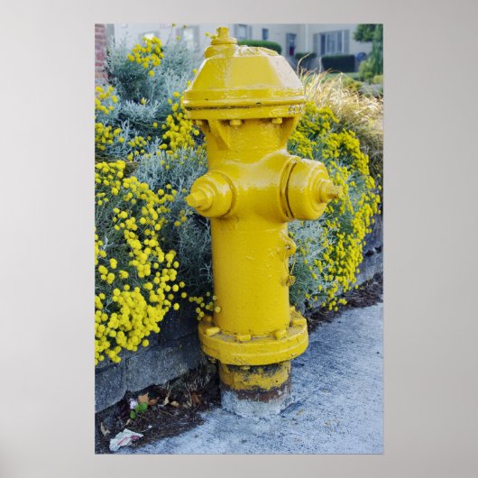 Gele brandkraan en wilde bloemen poster (Voorkant)