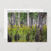 Gele Briefkaarten (Voorkant / Achterkant)