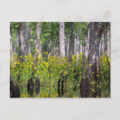 Gele Briefkaarten (Voorkant)