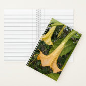 Gele Brugmansia Bloom Bloemen Notitieboek (Binnen)