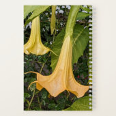 Gele Brugmansia Bloom Bloemen Notitieboek (Achterkant)