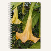 Gele Brugmansia Bloom Bloemen Notitieboek (Voorkant)