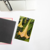 Gele Brugmansia Bloom Bloemen Notitieboek