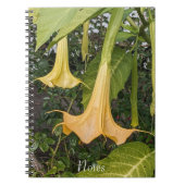Gele Brugmansia Bloom Bloemen Notitieboek (Voorkant)