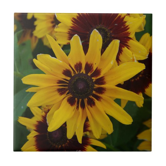 Gele bruine bloemen tegel tegeltje (Voorkant)