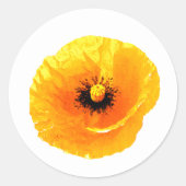 Gele bruine finale bruinkoolbridale ronde sticker (Voorkant)