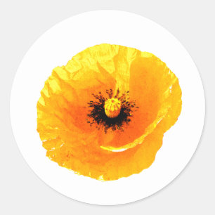 Gele bruine finale bruinkoolzegsdag ronde sticker