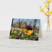 Gele bruine paniek kaart (Gele Bloem)