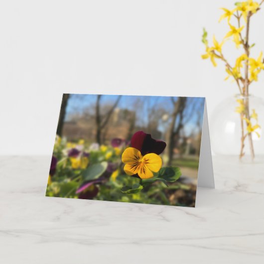 Gele bruine paniek kaart (Gele Bloem)