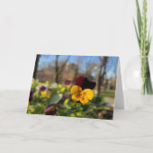 Gele bruine paniek kaart (Voorkant)