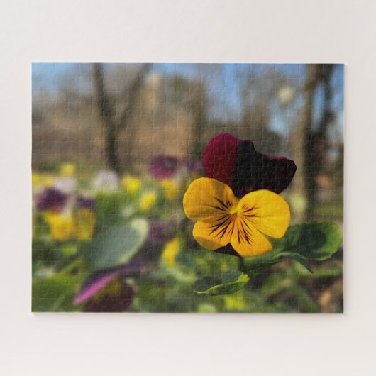 Gele bruine paniek legpuzzel (Horizontaal)