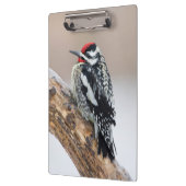 Gele-buikkramp man klembord (Links)