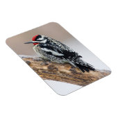 Gele-buikkramp man magneet (Rechterzijde)