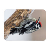 Gele-buikkramp man magneet (Horizontaal)