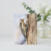 Gele-buiksapper Briefkaart (Staand voorkant)