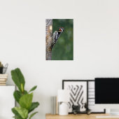 Gele-buiksapper (mannelijk) poster (Thuiskantoor)