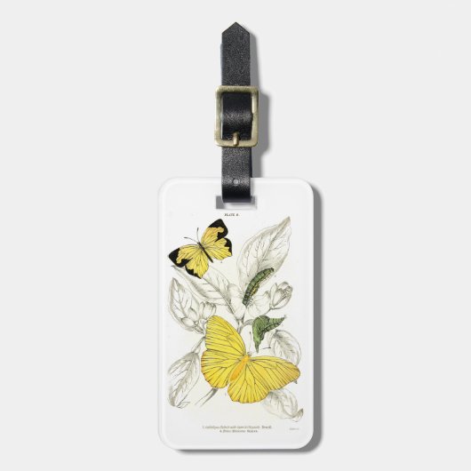  gele buikvlinders bagagelabel (Voorkant verticaal)