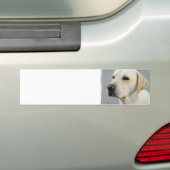 Gele Bumpersticker (Op auto)